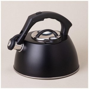 Чайник AGNESS Tudor Pro 2,8 л с термоаккумулирующим дном, встроенным термометром и индукцией, нержавеющая сталь, со свистком, 1 шт.
