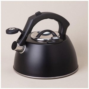 Чайник AGNESS Tudor Pro 2,8 л с термоаккумулирующим дном, встроенным термометром и индукцией, нержавеющая сталь, со свистком, 1 шт.