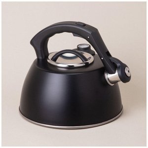 Чайник AGNESS Tudor Pro 2,8 л с термоаккумулирующим дном, встроенным термометром и индукцией, нержавеющая сталь, со свистком, 1 шт.