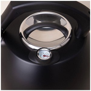 Чайник AGNESS Tudor Pro 2,8 л с термоаккумулирующим дном, встроенным термометром и индукцией, нержавеющая сталь, со свистком, 1 шт.