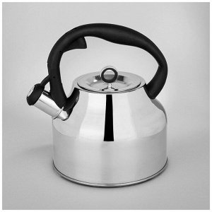 Чайник AGNESS Premium Induction 2,8 л с термоаккумулирующим дном и автоматическим свистком, нержавеющая сталь, 1 шт.