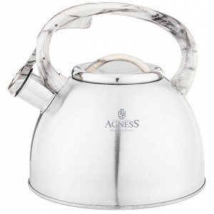 Чайник AGNESS Premium Steel 2,5 л со свистком и индукционным дном, стильный дизайн и ненагревающаяся ручка, 1 шт.