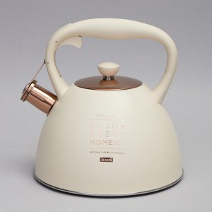 Чайник AGNESS ThermoPro 3.0 л со свистком и термоаккумулирующим дном для индукции, нержавеющая сталь, 1 шт.