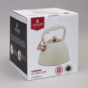 Чайник AGNESS ThermoPro 3.0 л со свистком и термоаккумулирующим дном для индукции, нержавеющая сталь, 1 шт.