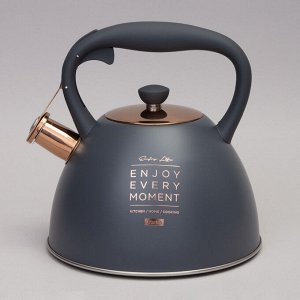 Чайник AGNESS ThermoSteel 3.0 л со свистком и термоаккумулирующим дном для всех плит, включая индукцию, 1 шт.