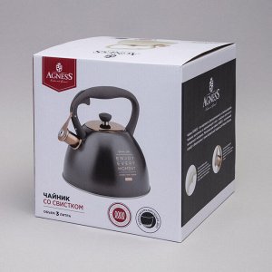 Чайник AGNESS ThermoSteel 3.0 л со свистком и термоаккумулирующим дном для всех плит, включая индукцию, 1 шт.