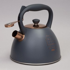 Чайник AGNESS ThermoSteel 3.0 л со свистком и термоаккумулирующим дном для всех плит, включая индукцию, 1 шт.