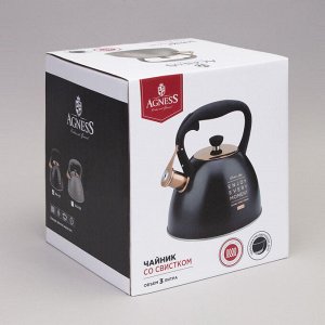 Чайник AGNESS ThermoPro 3.0 л со свистком и термоаккумулирующим дном для индукции, нержавеющая сталь, 1 шт.