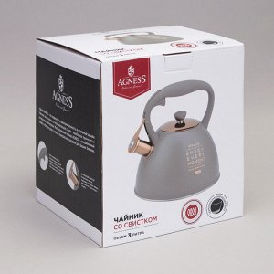 Чайник AGNESS Premium HeatPro 3.0 л — нержавеющая сталь, термоаккумулирующее дно, для всех плит, со свистком, 1 шт.