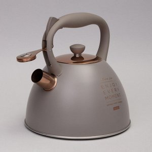 Чайник AGNESS Premium HeatPro 3.0 л — нержавеющая сталь, термоаккумулирующее дно, для всех плит, со свистком, 1 шт.