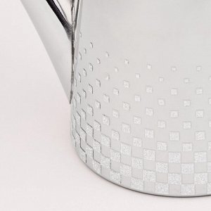Чайник из нержавеющей стали Premium Shine, 900 мл, с утолщённым корпусом и эргономичной ручкой, 1 шт.