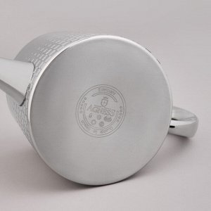 Чайник из нержавеющей стали Premium Shine, 900 мл, с утолщённым корпусом и эргономичной ручкой, 1 шт.