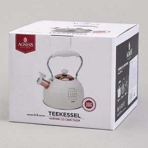 Чайник AGNESS Premium 2,5 л со свистком, нержавеющая сталь, для всех плит, стильный дизайн, 1 шт.
