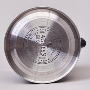 Чайник AGNESS 3,0 л со свистком и складной ручкой, индукционное дно, нержавеющая сталь, стильный дизайн, 1 шт.