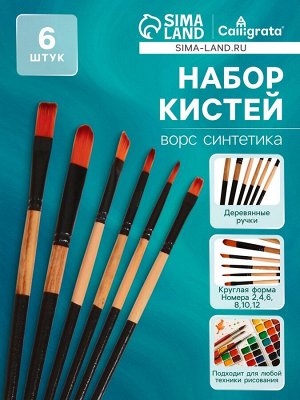 Набор кистей нейлон 6 штук: 2 круглые, 4 плоские