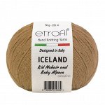 Пряжа Etrofil Iceland