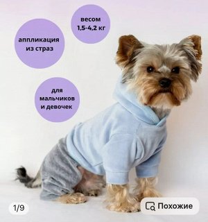 Велюровый костюм "Mikki" на собаку, унисекс+ПОДАРОК