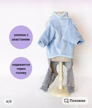 Велюровый костюм "Mikki" на собаку, унисекс+ПОДАРОК