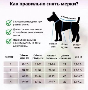 Велюровый костюм "Mikki" на собаку, унисекс+ПОДАРОК