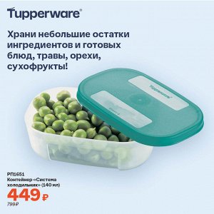 Контейнер «Система холодильник» (140 мл)