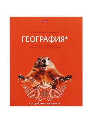 Комплект предметных тетрадей 48 листов, 12 предметов Hatber «Мой любимый предмет», обложка мелованный картон, ламинация Soft-touch, с интерактивным сп...