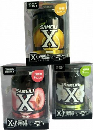 Ароматизатор освежитель воздуха для автомобиля/дома Sameili X 220 гр.