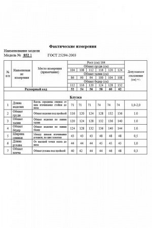 Женская блуза