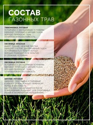 Газонная травосмесь «Мавританский», 100 г
