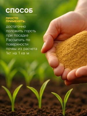 Горчичный жмых «Рецепты Дедушки Никиты», 2 л