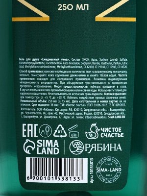 Подарочный набор «С 23 Февраля!»: гель для душа и шампунь для волос, 2x250 мл, HARD LINE