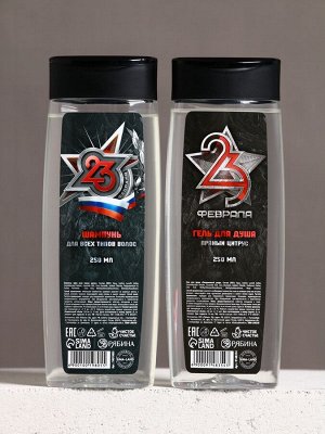 Подарочный набор «С 23 Февраля!»: гель для душа и шампунь для волос, 2x200 мл, HARD LINE