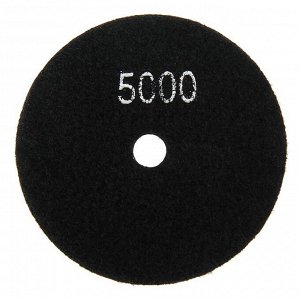 Алмазный гибкий шлифовальный круг ТУНДРА "Черепашка", для сухой шлифовки, 100 мм, № 10000