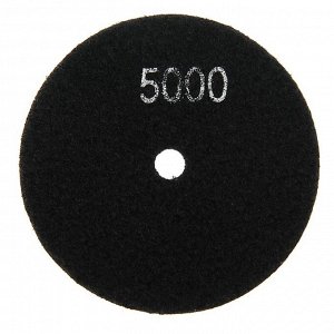 Алмазный гибкий шлифовальный круг ТУНДРА "Черепашка", для сухой шлифовки, 100 мм, № 5000