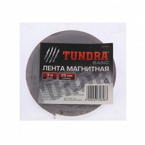 Магнитная лента TUNDRA, с клеевым слоем, 25 х 1.5 мм, длина 3 м