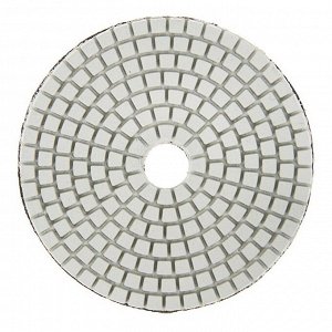 Алмазный гибкий шлифовальный круг ТУНДРА "Черепашка", для мокрой шлифовки, 100 мм, № 3000