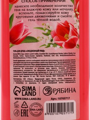 Подарочный набор «Это твой день», гель для душа, 250 мл и бомбочки для ванны 4 шт., Чистое счастье