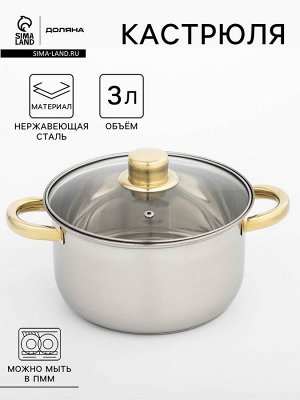 Кастрюля Доляна «Роскошь», 3 л, d=20 см, с крышкой, нержавеющая сталь, капсульное дно