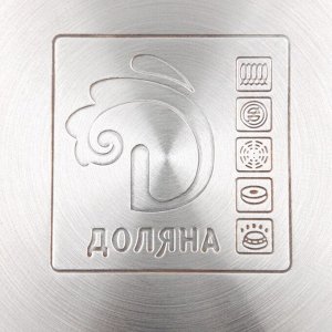 Кастрюля Доляна «Вернер», 2.5 л, d=18 см, с крышкой, капсульное дно, индукция, нержавеющая сталь