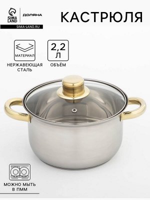 Кастрюля Доляна «Роскошь», 2.2 л, d=19 см, с крышкой, капсульное дно, нержавеющая сталь