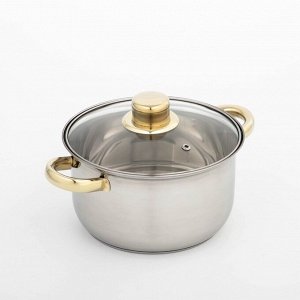 Кастрюля Доляна «Роскошь», 2.2 л, d=19 см, с крышкой, капсульное дно, нержавеющая сталь