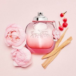 COACH COACH BLUSH FLORAL edp (w) 90 ml м(н) тестер в слюде  парфюмерная вода женская