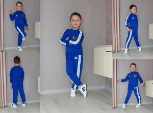 Детский Спортивный Костюм 2в1 Т43 "AD-Герб" Синий