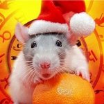 Новый год 2020! 🐭