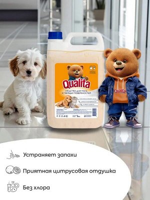 Средство для пола и твердых поверхностей WINTER CITRUS 5л