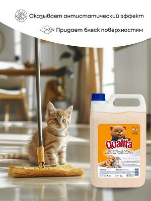 Средство для пола и твердых поверхностей WINTER CITRUS 5л