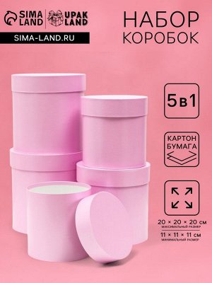 Набор шляпных подарочных коробок 5 в 1 «Сирень однотонный»,20x20x20‒11x11x11 см