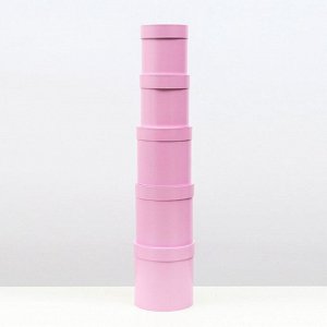 Набор шляпных подарочных коробок 5 в 1 «Сирень однотонный»,20x20x20‒11x11x11 см