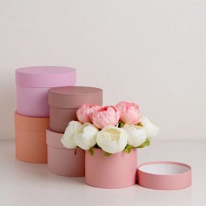 Набор шляпных подарочных коробок 5 в 1 «Крема» 20x14.5, 14x10 см