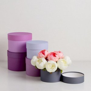 Набор круглых подарочных коробок 5 в 1 «Нежный» 20 x 14 - 15x10 см