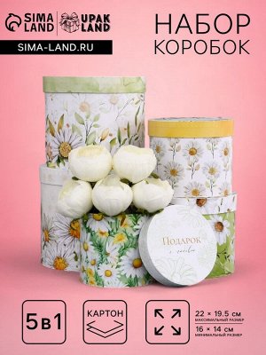 Набор шляпных коробок для цветов 5 в 1, упаковка подарочная, «Ромашки», 16x14 см - 22x19.5 см
